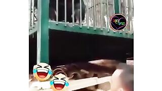 But don't laugh????