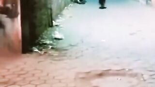 Dogs and men funny video ????????????