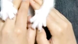 Those funny fluffy friends