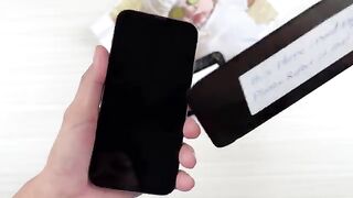 How to Restore Destroyed iPhone 13 Pro Max and Fix its Display Problem
