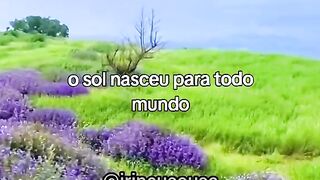 Não pare de sonhar
