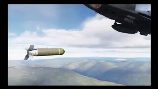 CBU-105 Cluster Bomb