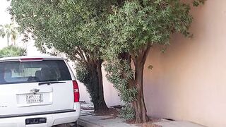 Nice place Saudi Arabia