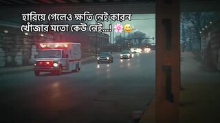 Sed video 3