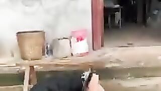The End ???????????? #viral #shorts #funny #fails 6