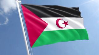 Bendera Arab Sahrawi | Bendera Sahara Barat | Flag of Western Sahara | Flag of West Sahara | West Sahara Flag | Western Sahara Flag | Sahrawi Arab