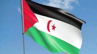 Bendera Arab Sahrawi | Bendera Sahara Barat | Flag of Western Sahara | Flag of West Sahara | West Sahara Flag | Western Sahara Flag | Sahrawi Arab