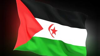 Bendera Arab Sahrawi | Bendera Sahara Barat | Flag of Western Sahara | Flag of West Sahara | West Sahara Flag | Western Sahara Flag | Sahrawi Arab 2