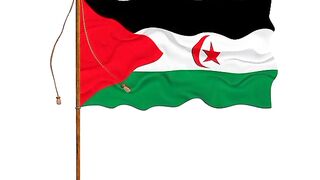 Bendera Arab Sahrawi | Bendera Sahara Barat | Flag of Western Sahara | Flag of West Sahara | West Sahara Flag | Western Sahara Flag | Sahrawi Arab 3