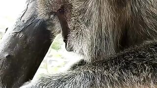 Cuaca panas 2