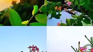 -কত সুন্দর এই সবুজ প্রকৃতির প্রকৃতি!????