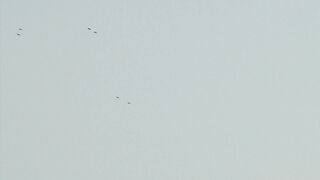Military Aircraft Bombin