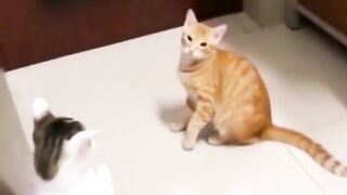 Try not to laugh ???? my friends