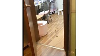 Baby Cats - Cute and Funny Cat Videos_