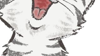 Crazy Cats, gatos locos