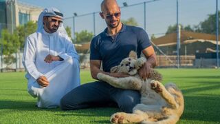 Clips Off Andrew Tate In Dubai