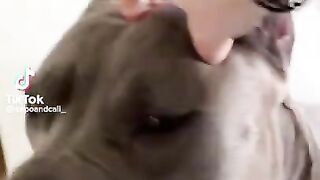 Funny animals compilation 1