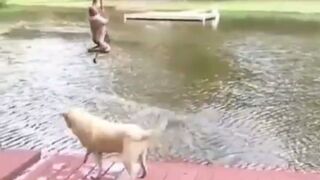 Very loyal dog