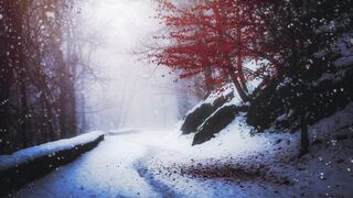 Winter evening
