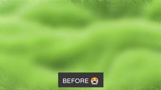 VENUSAUR POKEMON CARDS BEFORE AND AFTER