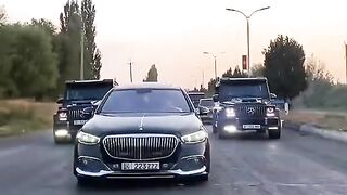 Cars Lovers
