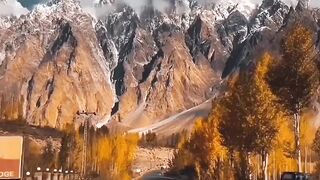 driving in nature