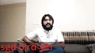 Love birds infourmation|birds k kam ahtyat karin | birds1