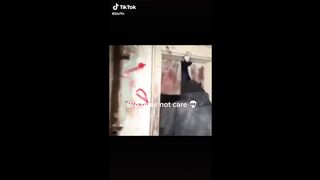 ishowspeed Funny Moments Compilation