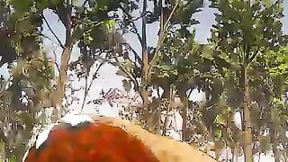 Action Game