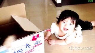 Funny Babies Laughing Cats Compilation