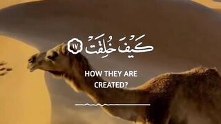 Allah #short #viralshort
