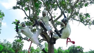 Monkey Special Trending Funny Comedy Video 2024 Special Trending Funny Comedy Video Episode 009 By Mr Nigeria