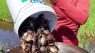 Fanny videos 9