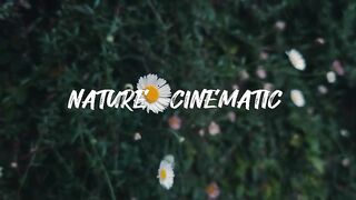ONE OF THE BEST NATURE CINEMATIC VIDEO