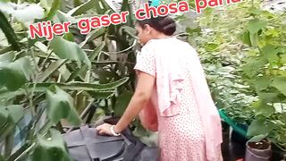 আমার নিজের কাছে শসা পারলাম।