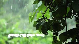 মেঘলা আকাশের শিশির বিন্দু হয়ে ছুঁয়ে দিতে চাই তোমাকে,,????