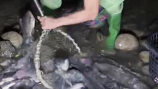 Fish catching ????