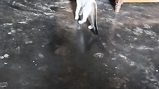 বিলাইটি অনেক সুন্দর