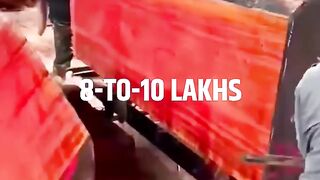Why Red Sandalwood is So Expensive ???????? shorts redsandalwood