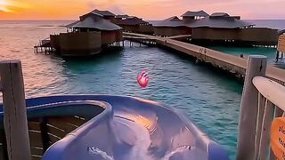Luxury luxurylife rich