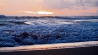 One Of The Best Natural Beautiful Background Video.