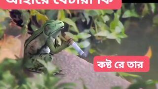 আহারে বিচারা????????????
