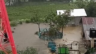 Neutral video