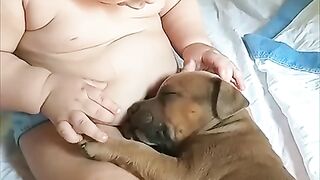 funny video 604