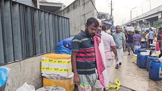চাঁদপুরে চার কেজি ওজনের ইলিশ ধরা পড়ল