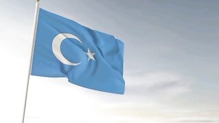 East Turkestan Flag. East Turkistan Flag. Bendera Turkistan Timur. Bendera Turkestan Timur. Flag of East Turkistan. Flag of East Turkestan