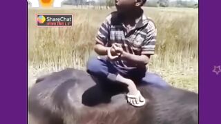 viral  songs