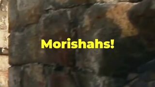 Top 5 Mind-Blowing Facts About Morishahs !! #febsp #shorts #facts