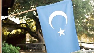 East Turkestan Flag. East Turkistan Flag. Bendera Turkistan Timur. Bendera Turkestan Timur. Flag of East Turkistan. Flag of East Turkestan 3