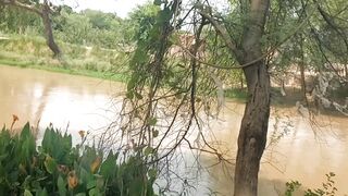 Beauty of nature 64